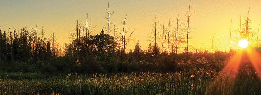 copingSunset1100x400